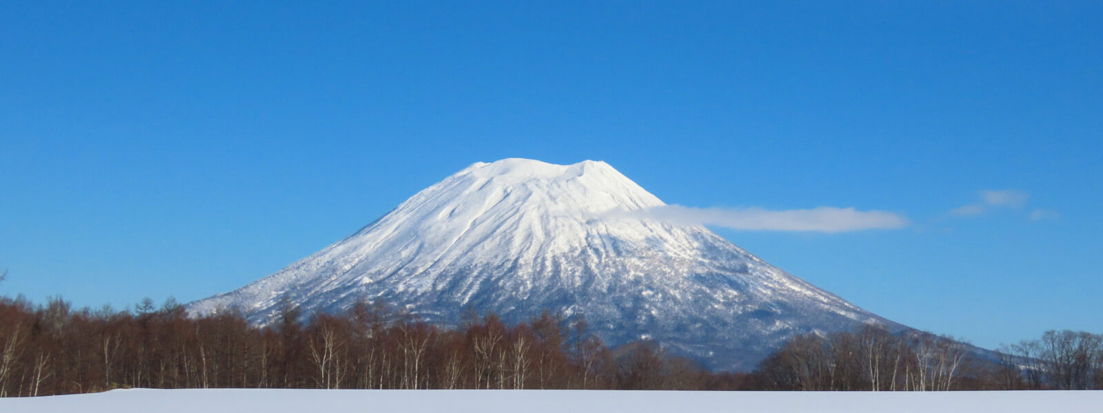 冬の羊蹄山