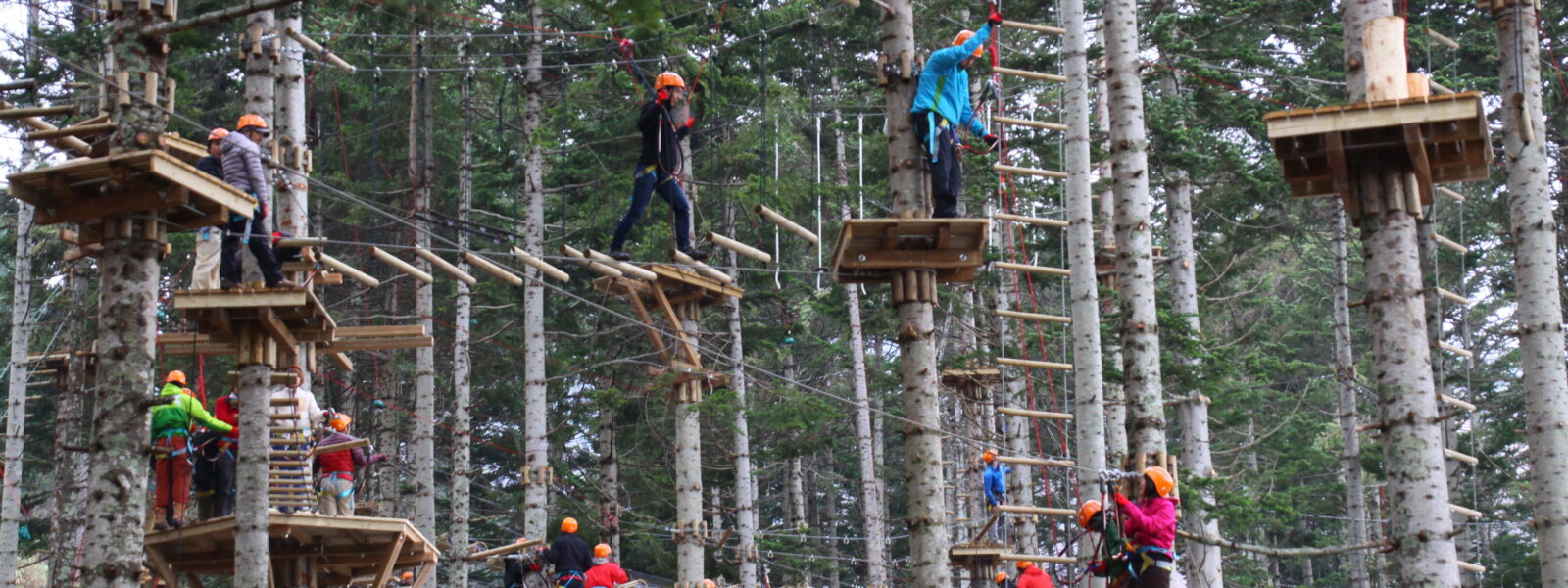 NACアドベンチャーパーク